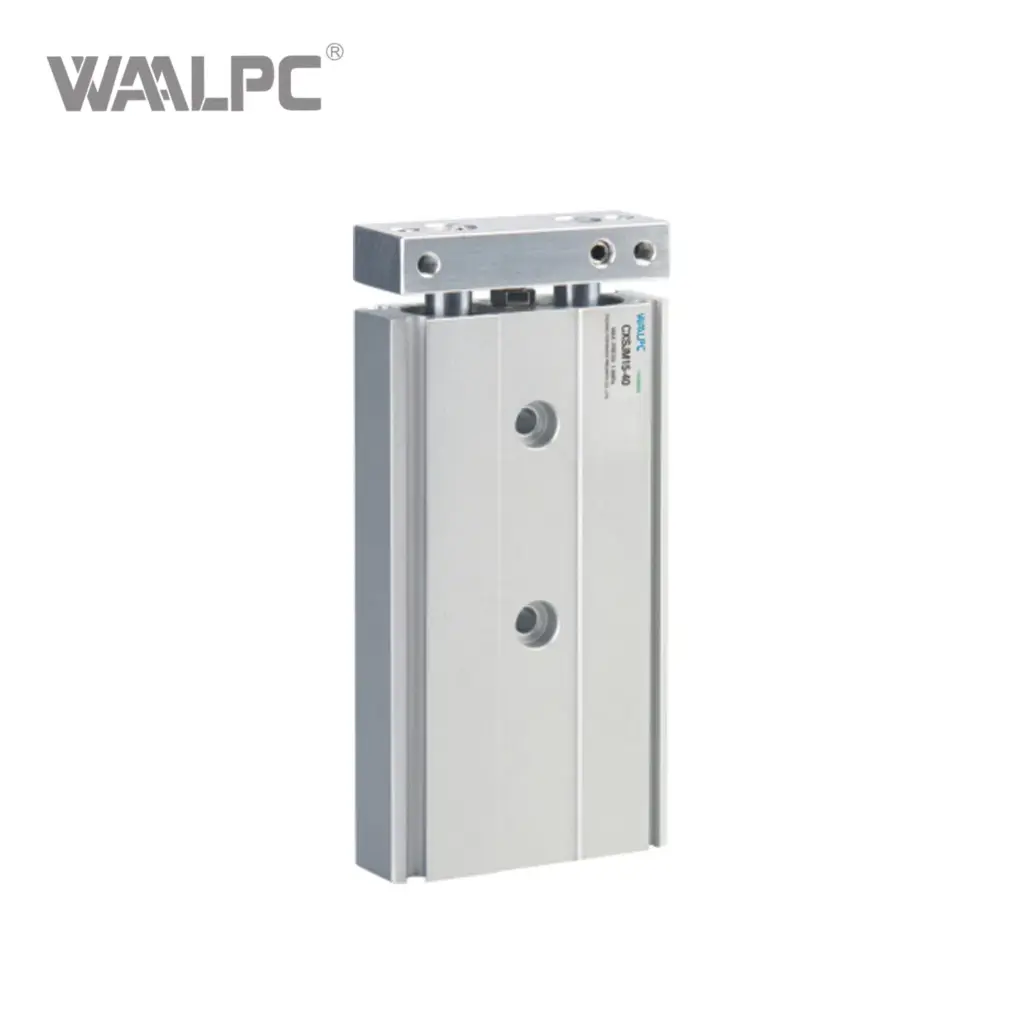 lib-mic-CXW-1-Cxs-Series-Double-Piston-Rod-Cylinder-Double-Actin