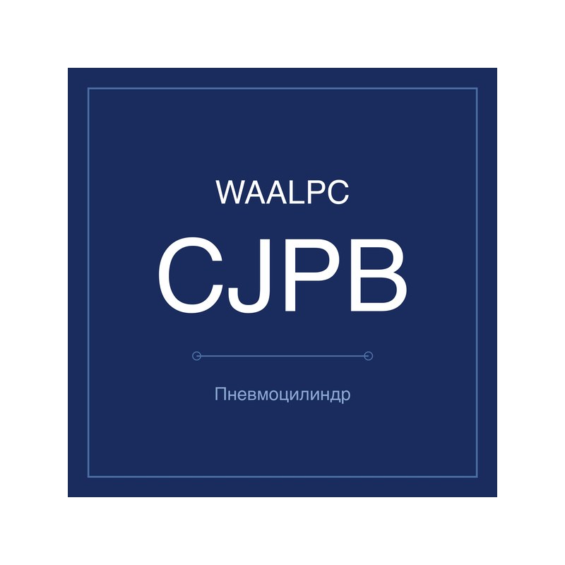 Пневмоцилиндр мини CJPB WAALPC CJPB-10-10