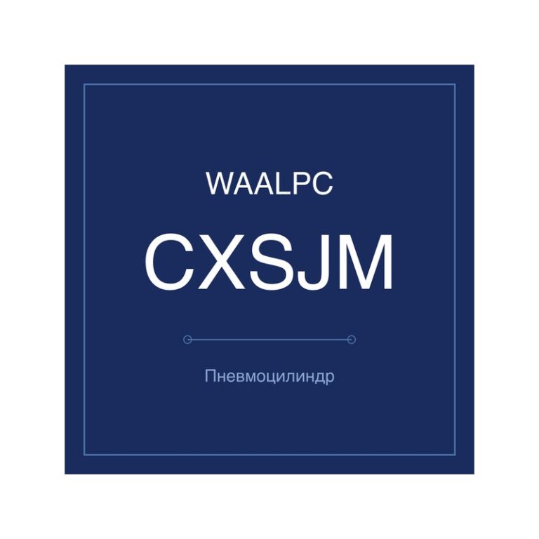 Пневмоцилиндр с двумя штоками CXSJM