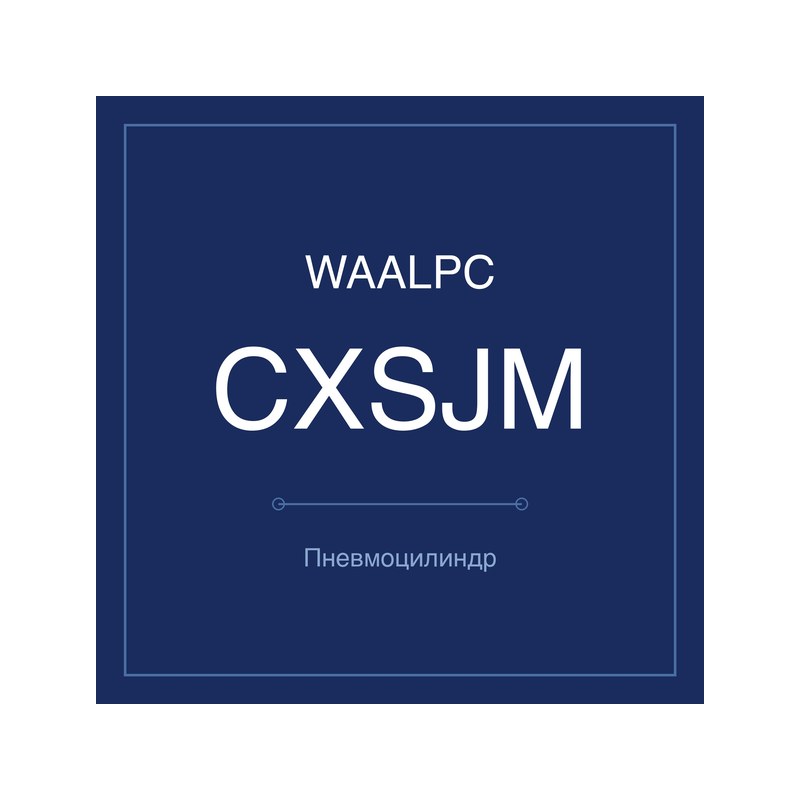 Пневмоцилиндр с двумя штоками CXSJM WAALPC CXSJM-10-10