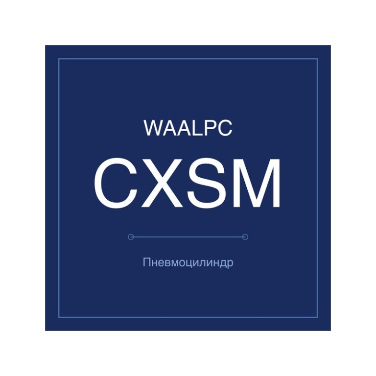 Пневмоцилиндр с двумя штоками CXSM