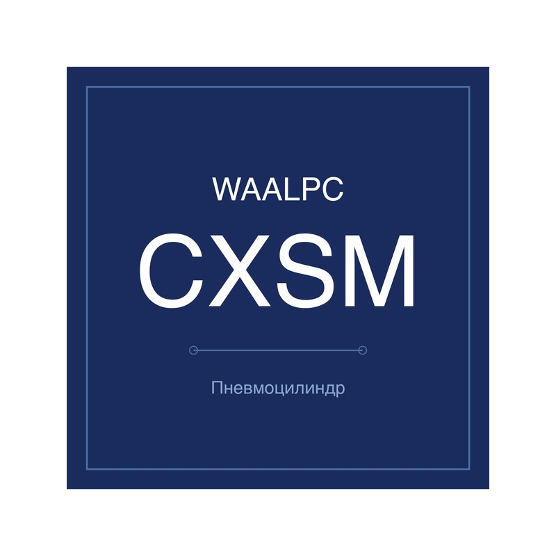 Пневмоцилиндр с двумя штоками CXSM WAALPC CXSM-10-15