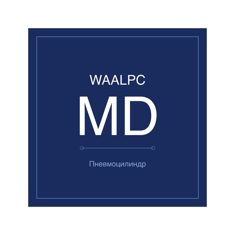 Пневмоцилиндр мини MD WAALPC MD-10-10