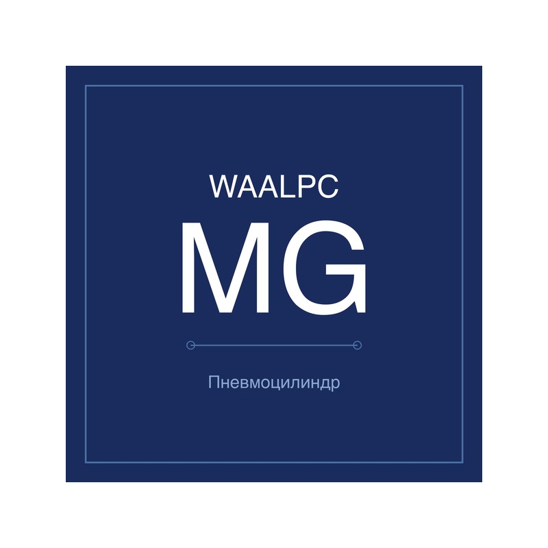 Пневмоцилиндр мини MG WAALPC MG-20-100