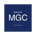 MGC-20-100 фото 1