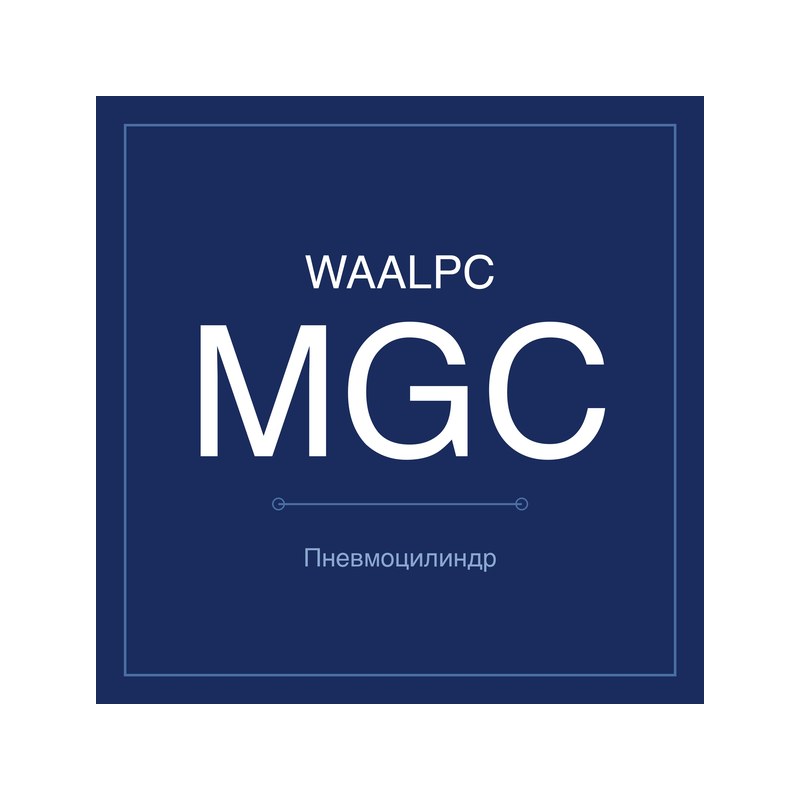Пневмоцилиндр мини MGC WAALPC MGC-20-100