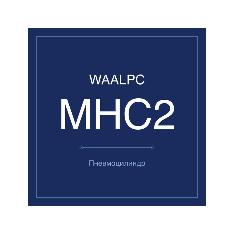 Пневмозахват (гриппер) MHC2 WAALPC MHC2-10