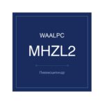 MHZL2-C-10 фото 1