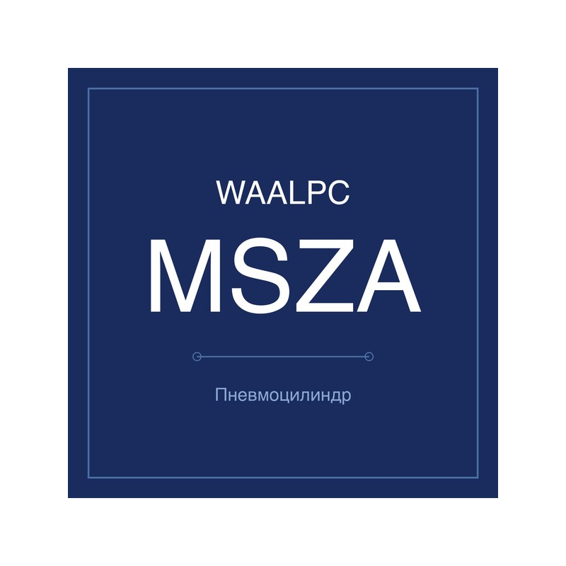 Поворотный пневмопривод MSZA WAALPC MSZA-10