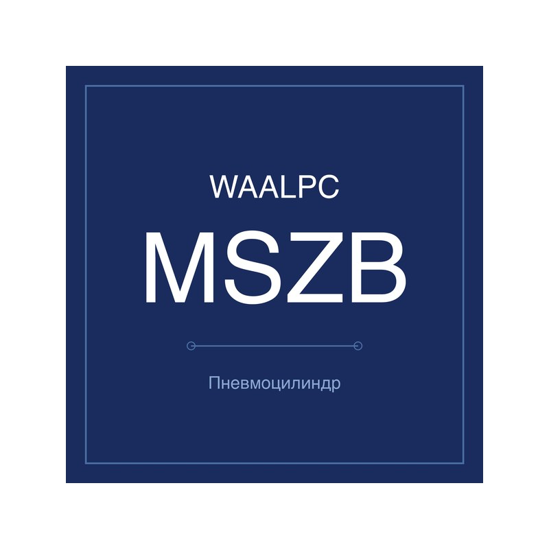 Поворотный пневмопривод MSZB WAALPC MSZB-10