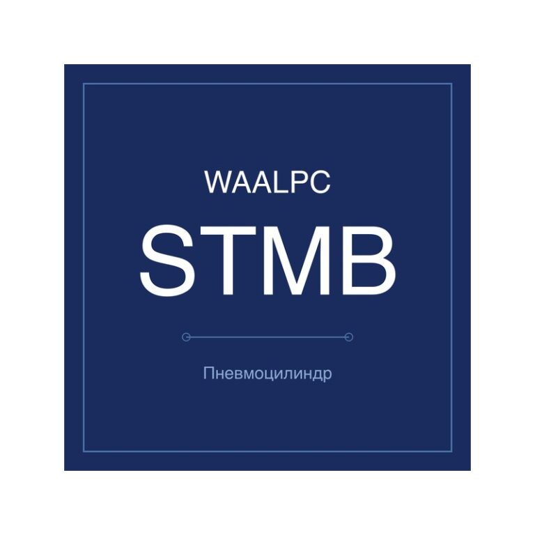 Пневмоцилиндр с двумя штоками STMB