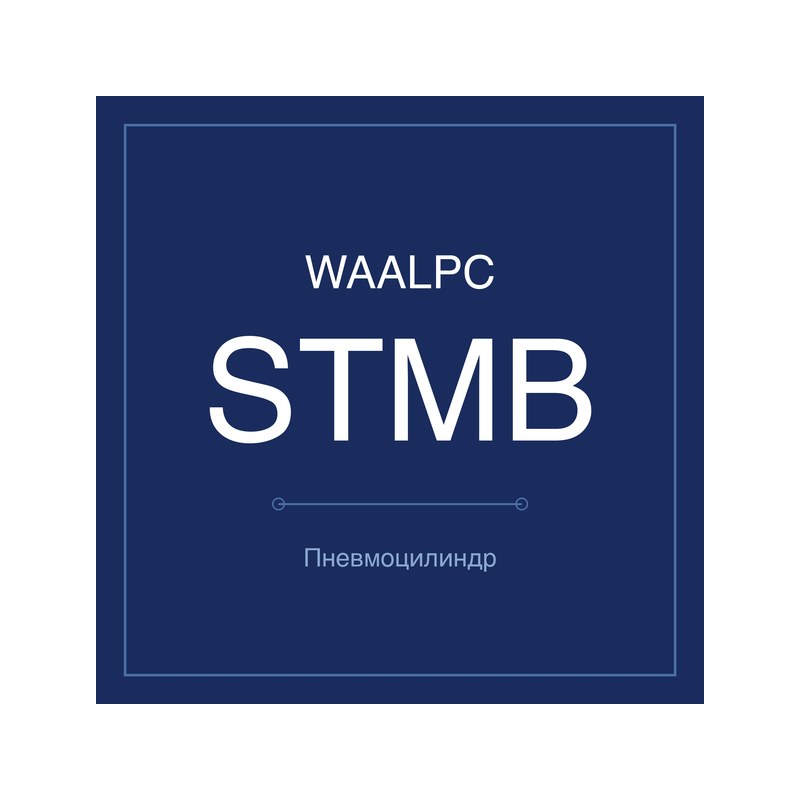 Пневмоцилиндр с двумя штоками STMB WAALPC STMB-10-100