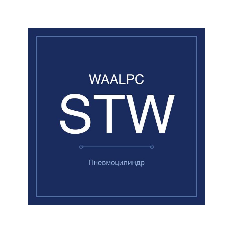 Пневмоцилиндр с двумя штоками STW WAALPC STW-10-100