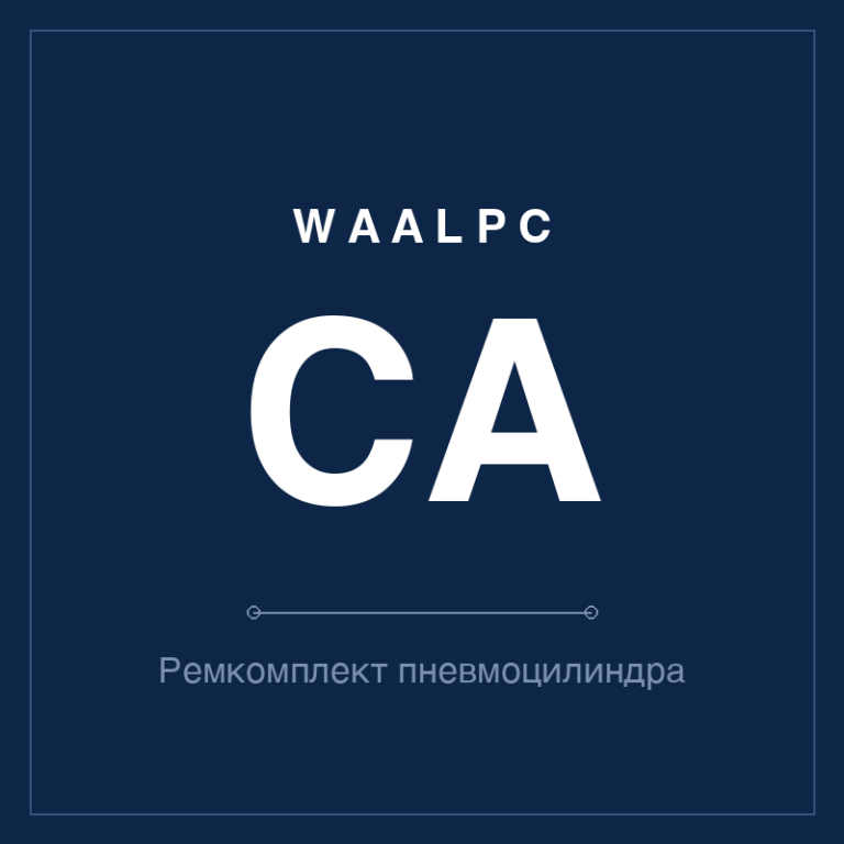 Запчасть пневмоцилиндра CA