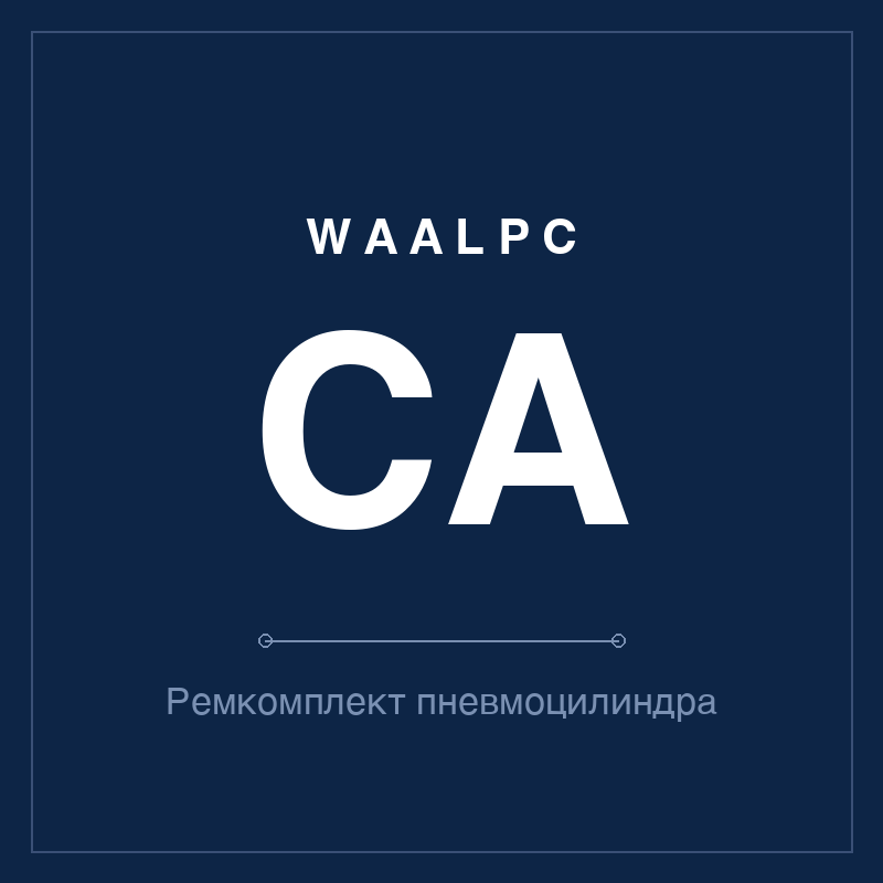 Запчасть пневмоцилиндра CA WAALPC CA2-40