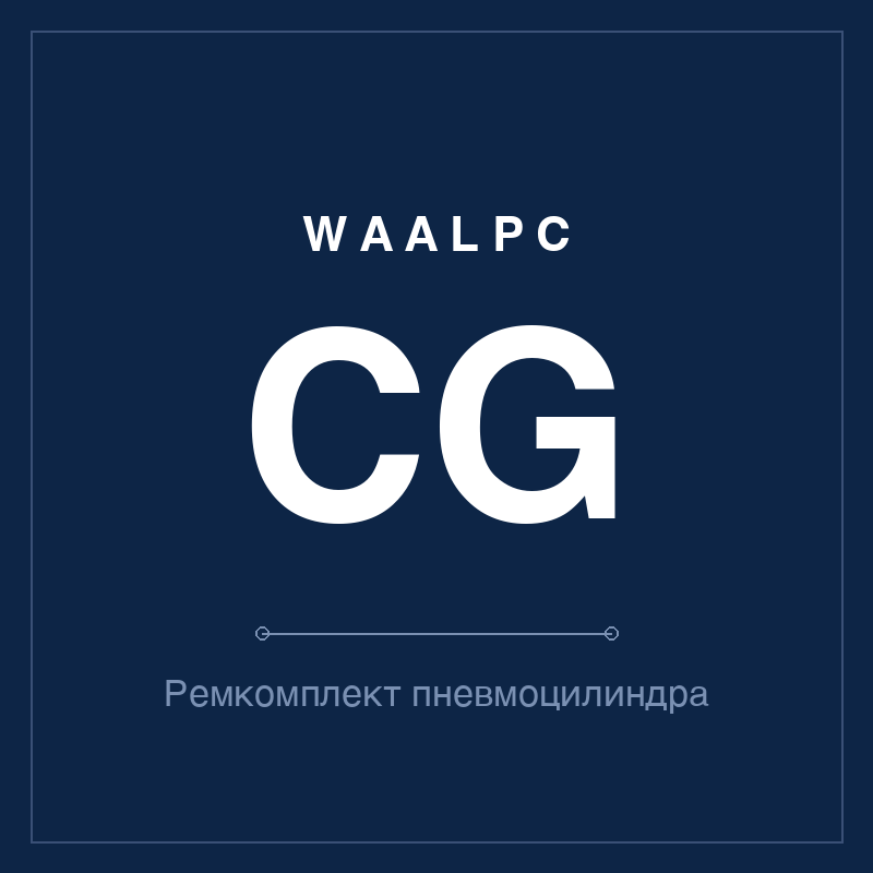 Ремкомплект (уплотнения) пневмоцилиндра CG WAALPC CG-KIT