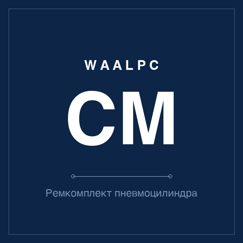 Запчасть пневмоцилиндра CP WAALPC CP96-32