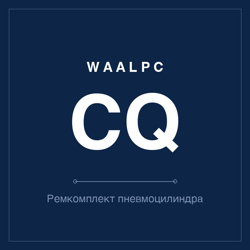 Ремкомплект (уплотнения) пневмоцилиндра CQ WAALPC CQ-KIT