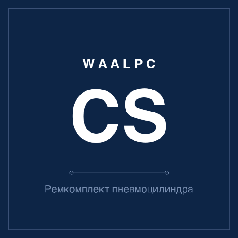 Запчасть пневмоцилиндра CS
