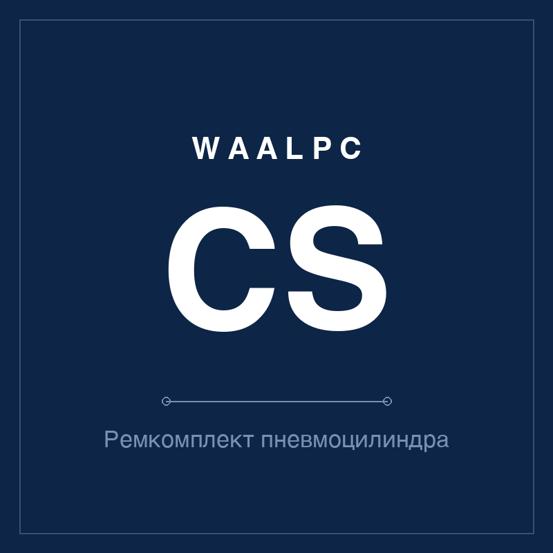 Ремкомплект (уплотнения) пневмоцилиндра CS WAALPC CS-KIT