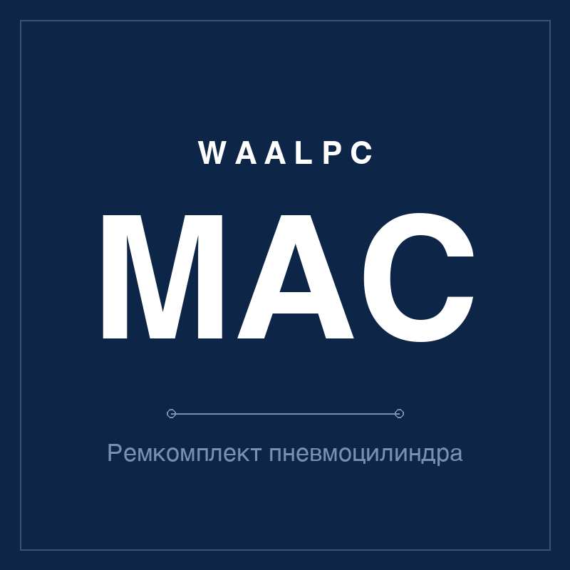 Запчасть пневмоцилиндра MIC WAALPC MIC-16