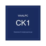 Пневмоцилиндр CK1 — фото 2