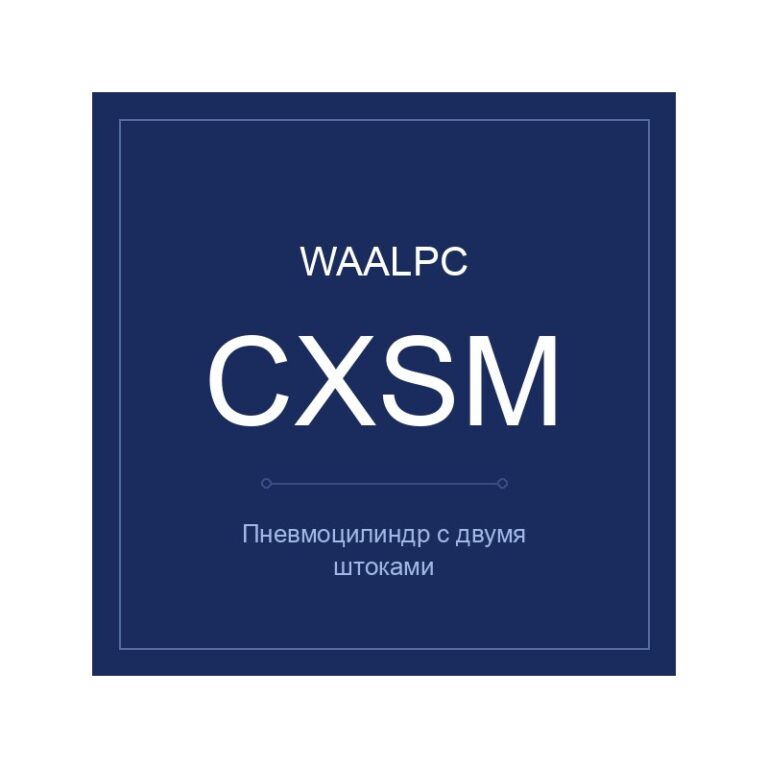 CXSM-20-100 — пневмоцилиндр, WAALPC