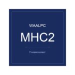 Пневмозахват MHC2 — фото 2
